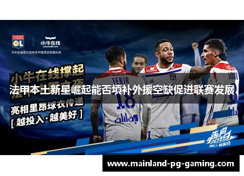 法甲本土新星崛起能否填补外援空缺促进联赛发展