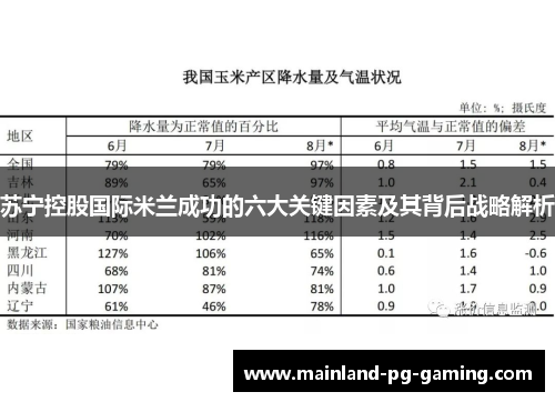 苏宁控股国际米兰成功的六大关键因素及其背后战略解析