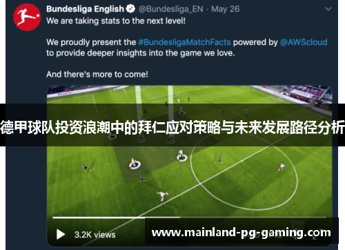 德甲球队投资浪潮中的拜仁应对策略与未来发展路径分析