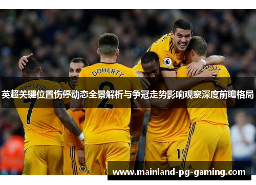 英超关键位置伤停动态全景解析与争冠走势影响观察深度前瞻格局