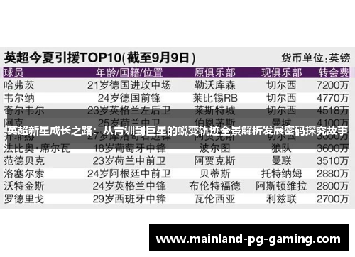 英超新星成长之路：从青训到巨星的蜕变轨迹全景解析发展密码探究故事